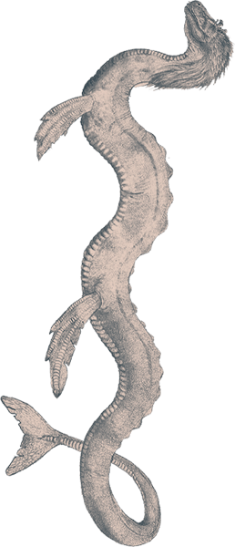 Ogopogo, Peachland BC.